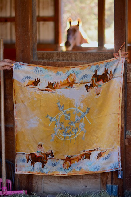 Longhorn Open Range: 35x35 Cowgirl Wild Rag Western Mulberry Silk Scarf